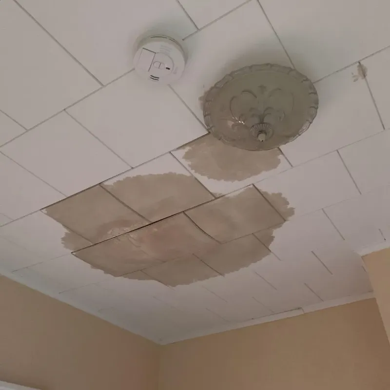 Ceiling Water Damage Repair in Emerson, NJ