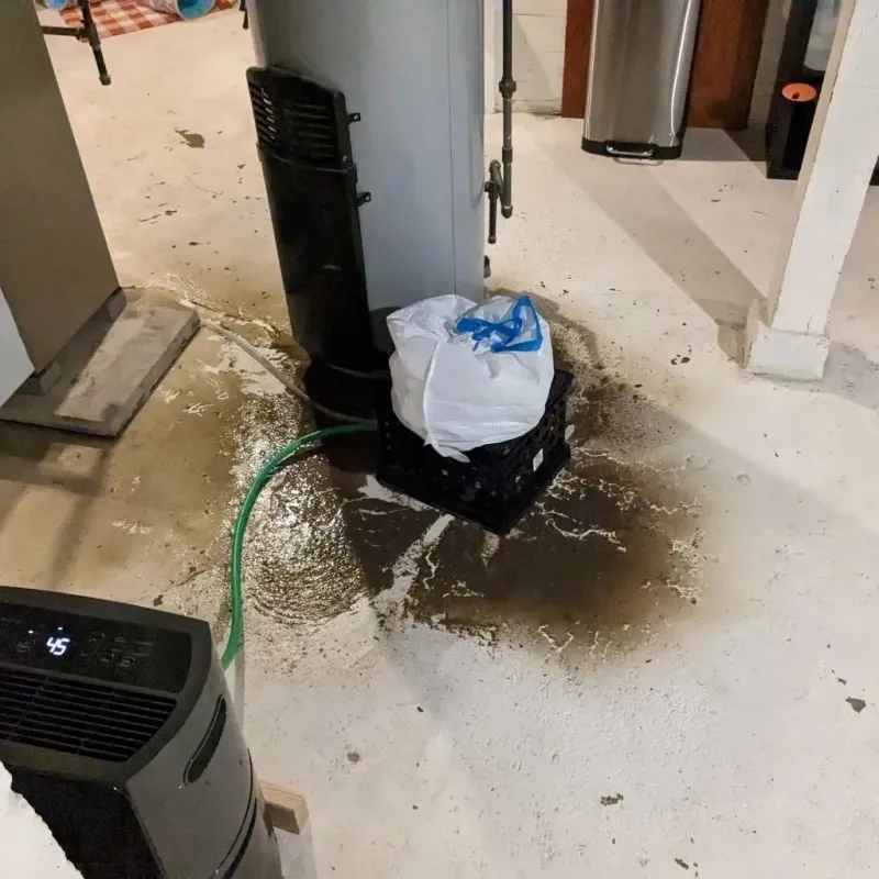 Sewage Backup Cleanup Service in Emerson, NJ